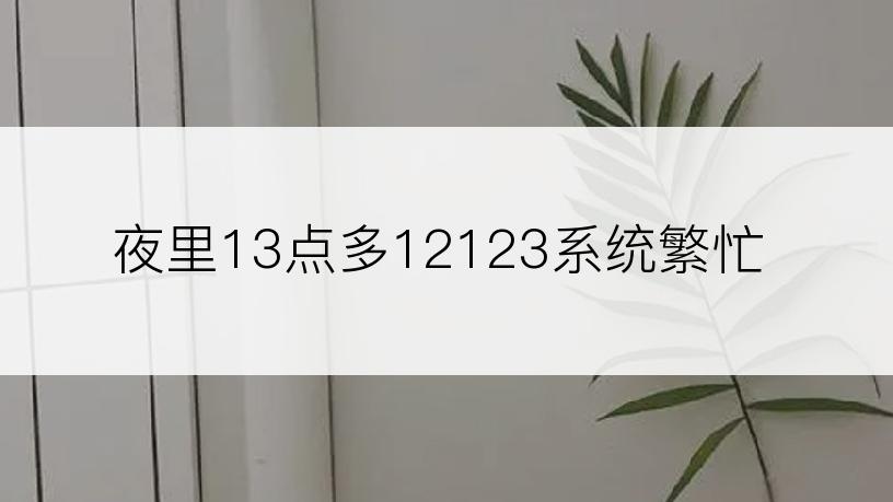 夜里13点多12123系统繁忙