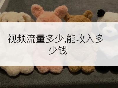 视频流量多少,能收入多少钱