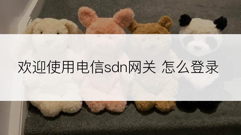 欢迎使用电信sdn网关 怎么登录