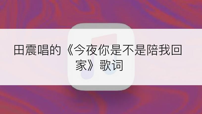 田震唱的《今夜你是不是陪我回家》歌词
