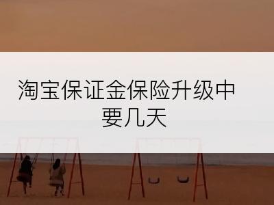 淘宝保证金保险升级中要几天