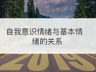 自我意识情绪与基本情绪的关系