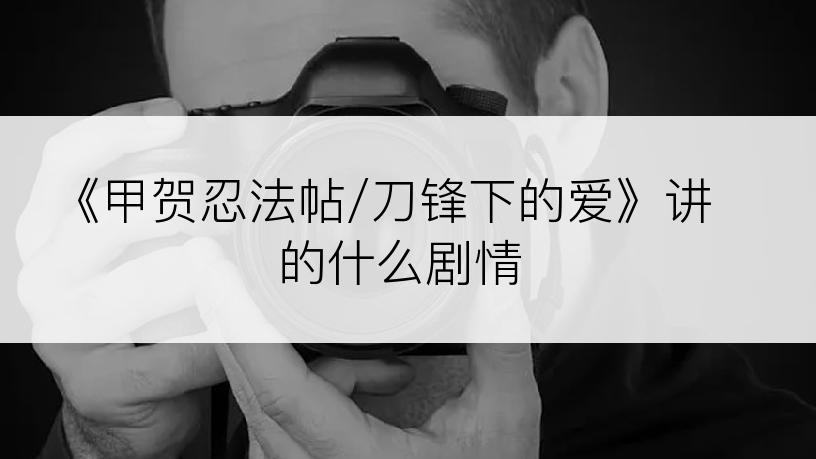 《甲贺忍法帖/刀锋下的爱》讲的什么剧情