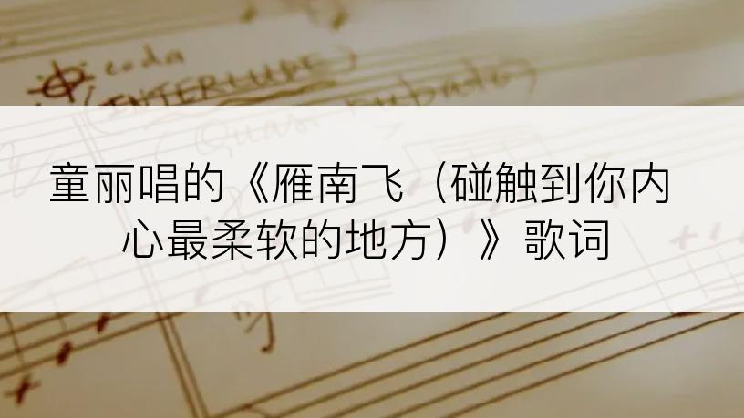 童丽唱的《雁南飞（碰触到你内心最柔软的地方）》歌词