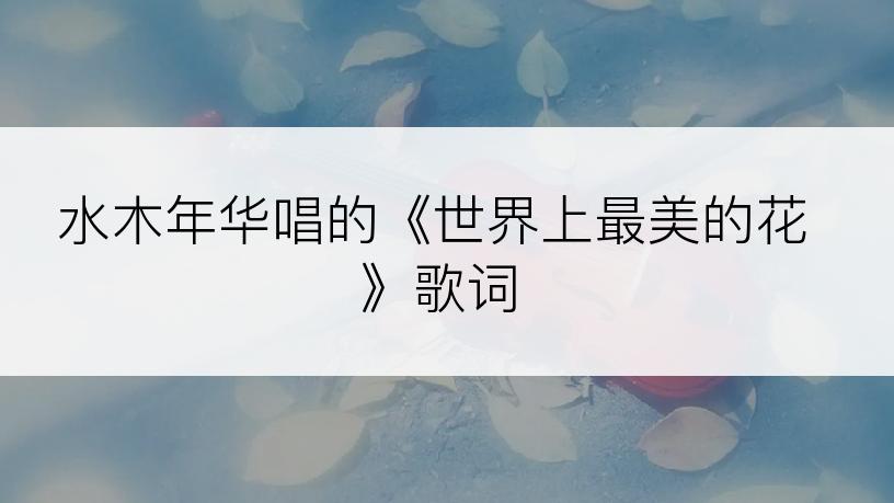 水木年华唱的《世界上最美的花》歌词
