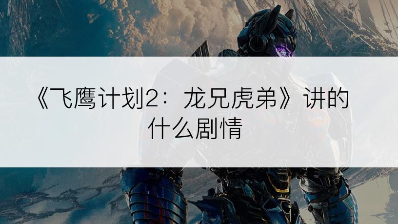 《飞鹰计划2：龙兄虎弟》讲的什么剧情