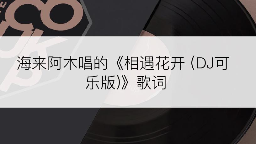 海来阿木唱的《相遇花开 (DJ可乐版)》歌词