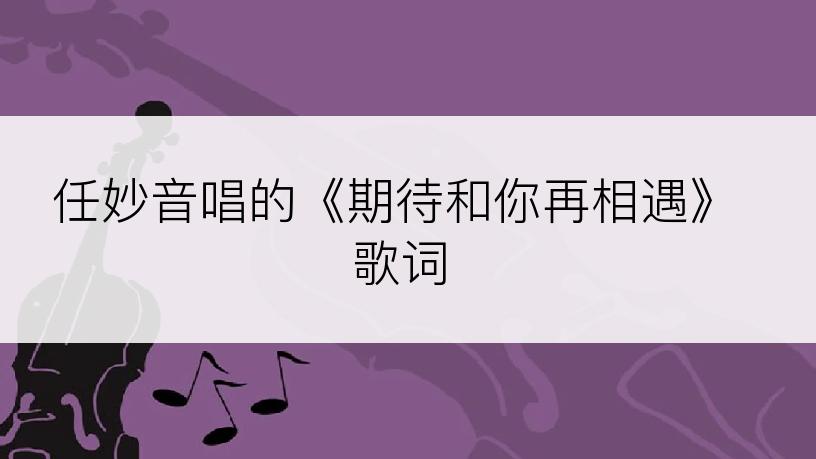 任妙音唱的《期待和你再相遇》歌词