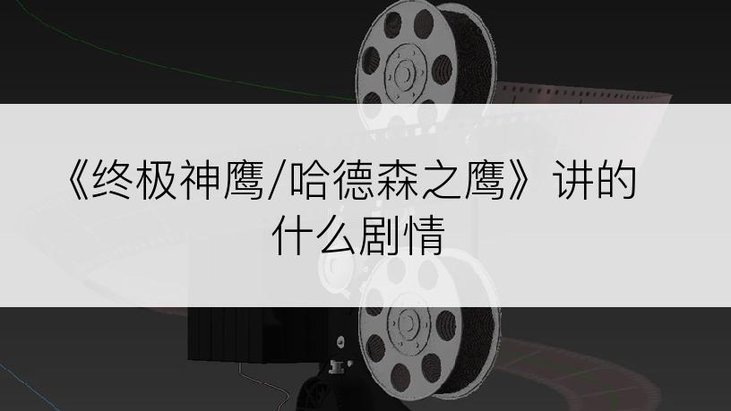《终极神鹰/哈德森之鹰》讲的什么剧情