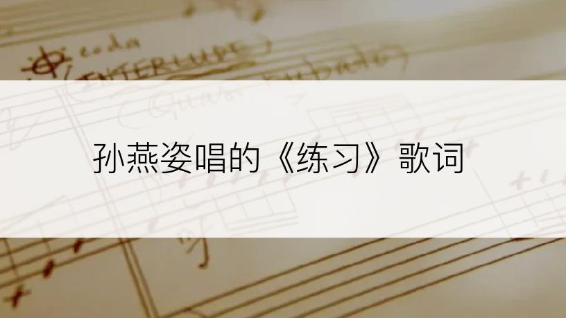 孙燕姿唱的《练习》歌词