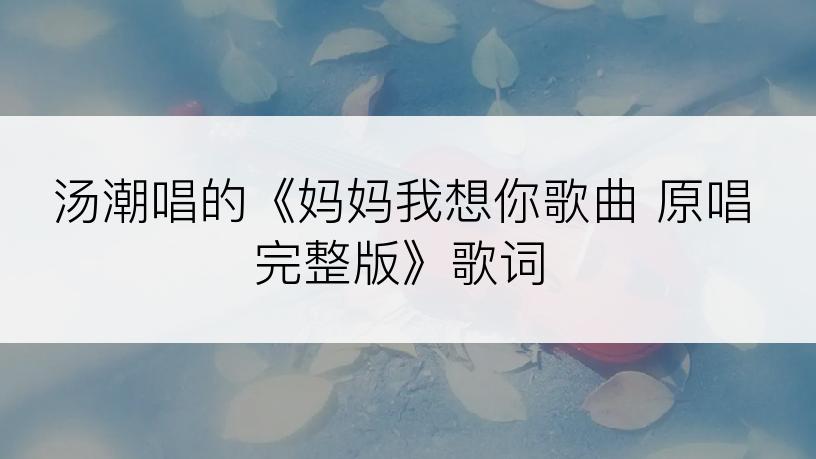 汤潮唱的《妈妈我想你歌曲 原唱完整版》歌词