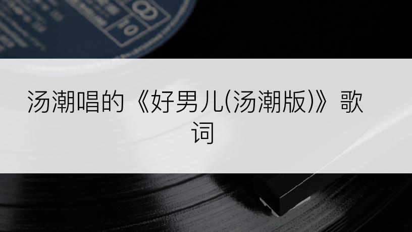 汤潮唱的《好男儿(汤潮版)》歌词