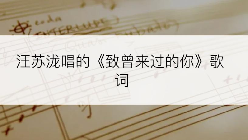 汪苏泷唱的《致曾来过的你》歌词