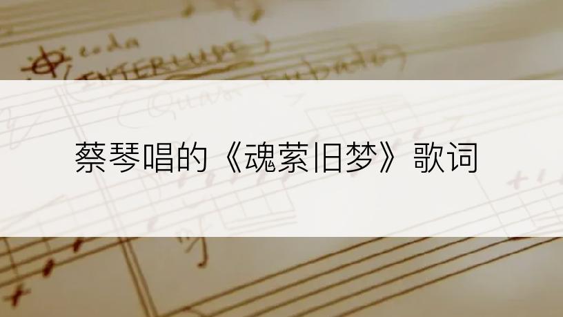 蔡琴唱的《魂萦旧梦》歌词