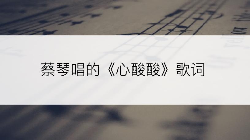 蔡琴唱的《心酸酸》歌词