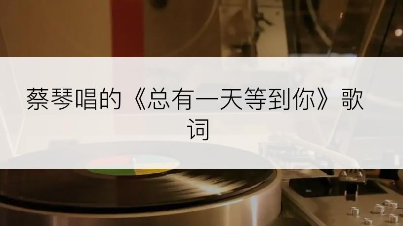 蔡琴唱的《总有一天等到你》歌词