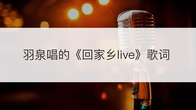 羽泉唱的《回家乡live》歌词