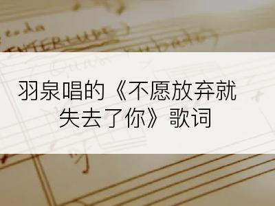 羽泉唱的《不愿放弃就失去了你》歌词