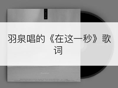 羽泉唱的《在这一秒》歌词