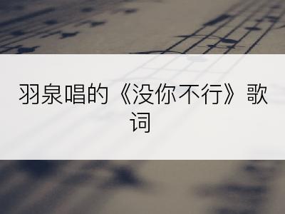 羽泉唱的《没你不行》歌词