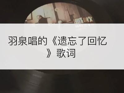 羽泉唱的《遗忘了回忆》歌词