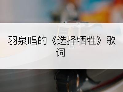 羽泉唱的《选择牺牲》歌词