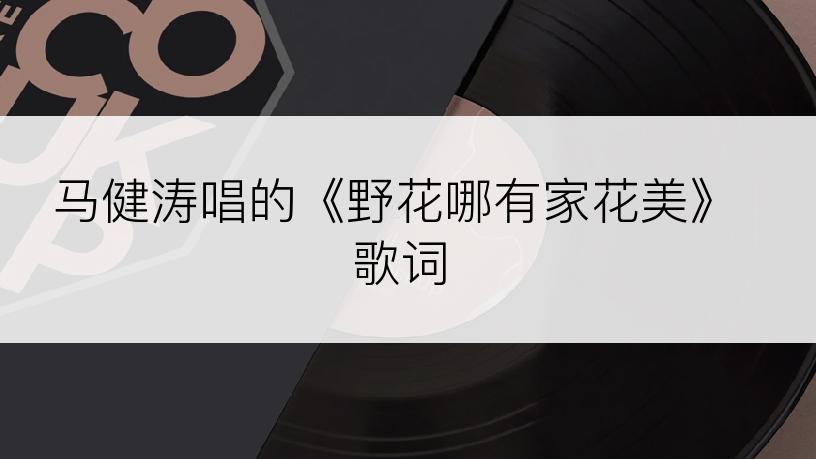 马健涛唱的《野花哪有家花美》歌词