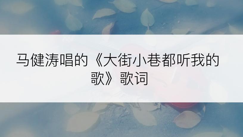 马健涛唱的《大街小巷都听我的歌》歌词
