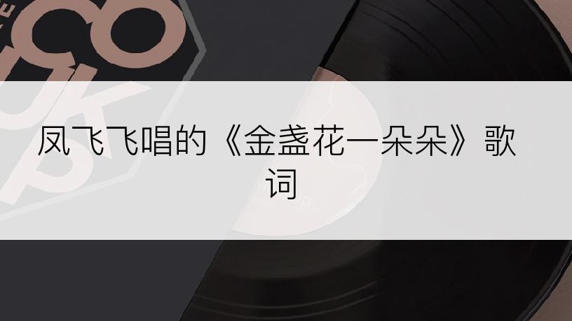 凤飞飞唱的《金盏花一朵朵》歌词