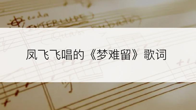 凤飞飞唱的《梦难留》歌词