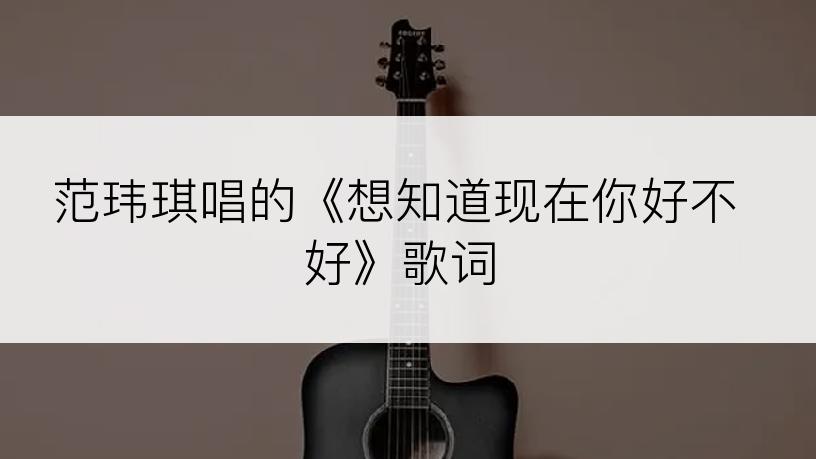 范玮琪唱的《想知道现在你好不好》歌词