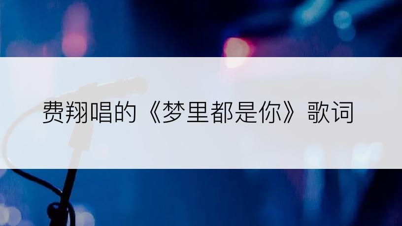 费翔唱的《梦里都是你》歌词
