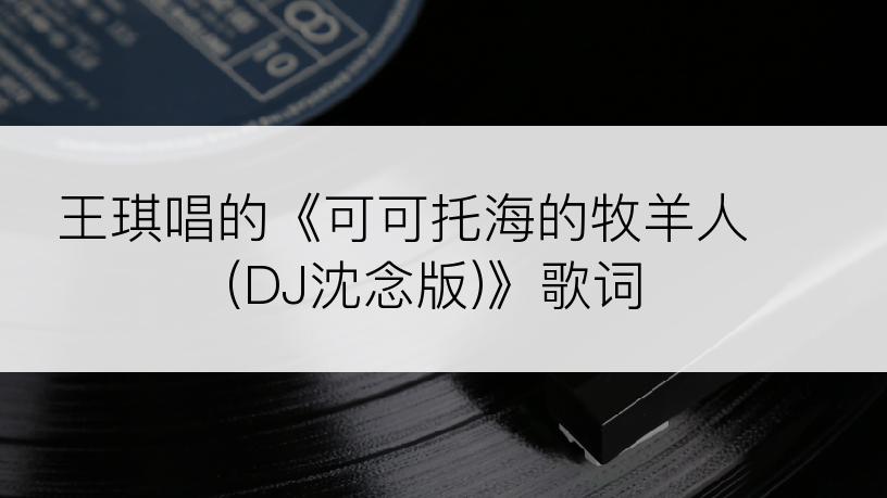 王琪唱的《可可托海的牧羊人 (DJ沈念版)》歌词