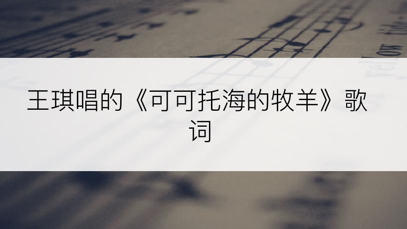 王琪唱的《可可托海的牧羊》歌词