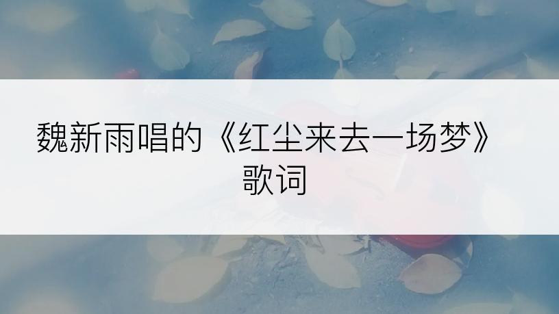 魏新雨唱的《红尘来去一场梦》歌词