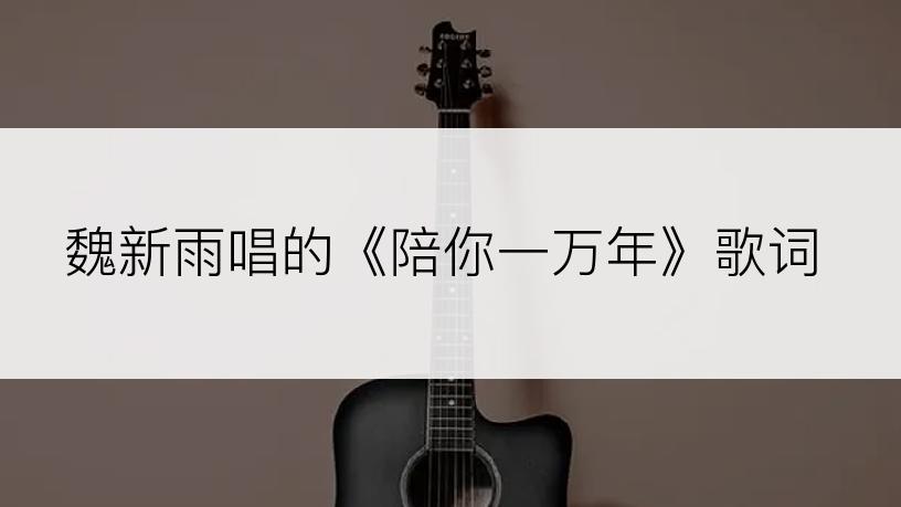 魏新雨唱的《陪你一万年》歌词