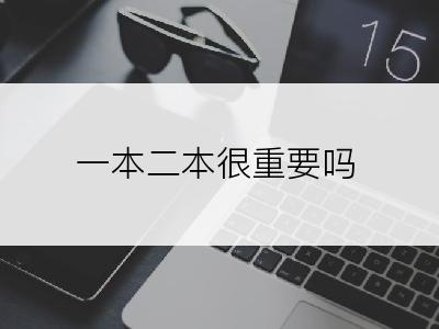 一本二本很重要吗