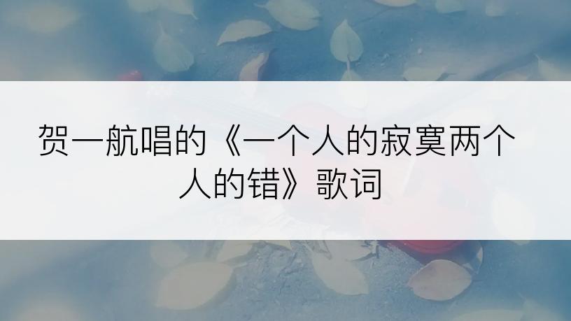 贺一航唱的《一个人的寂寞两个人的错》歌词