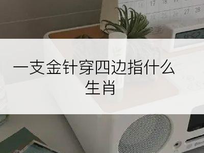 一支金针穿四边指什么生肖