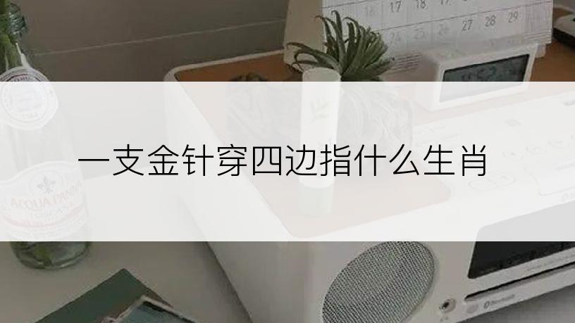 一支金针穿四边指什么生肖