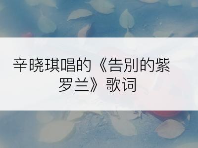 辛晓琪唱的《告別的紫罗兰》歌词