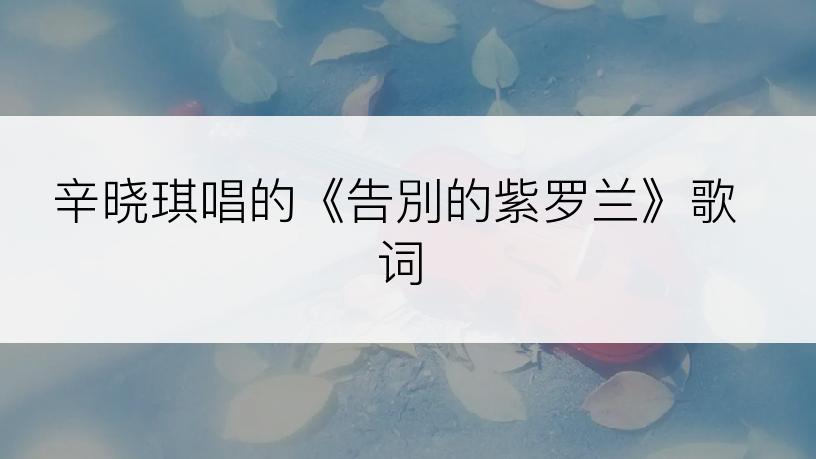 辛晓琪唱的《告別的紫罗兰》歌词