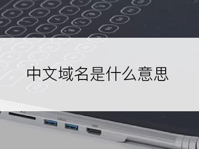 中文域名是什么意思