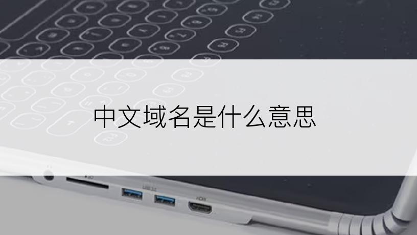 中文域名是什么意思