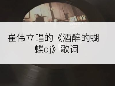 崔伟立唱的《酒醉的蝴蝶dj》歌词