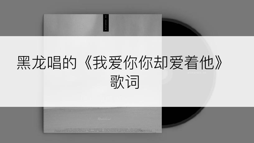 黑龙唱的《我爱你你却爱着他》歌词