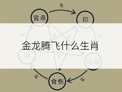 金龙腾飞什么生肖