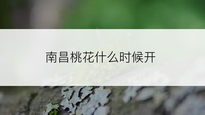 南昌桃花什么时候开