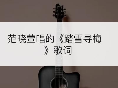 范晓萱唱的《踏雪寻梅》歌词