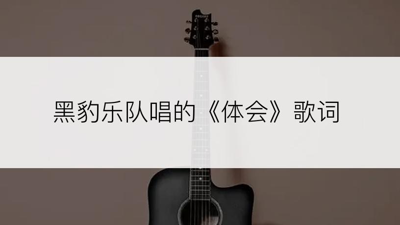 黑豹乐队唱的《体会》歌词
